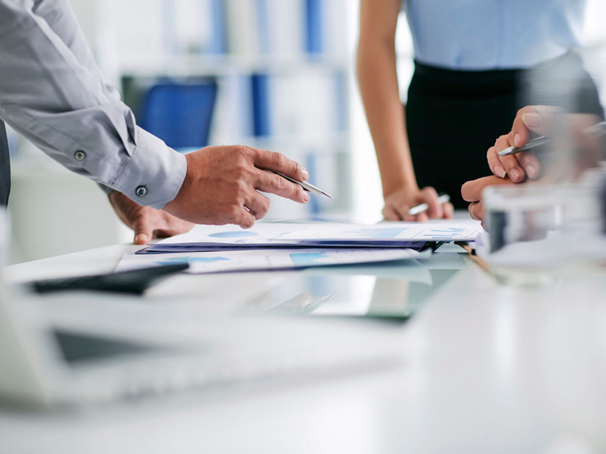 Dogmat Systemy Services