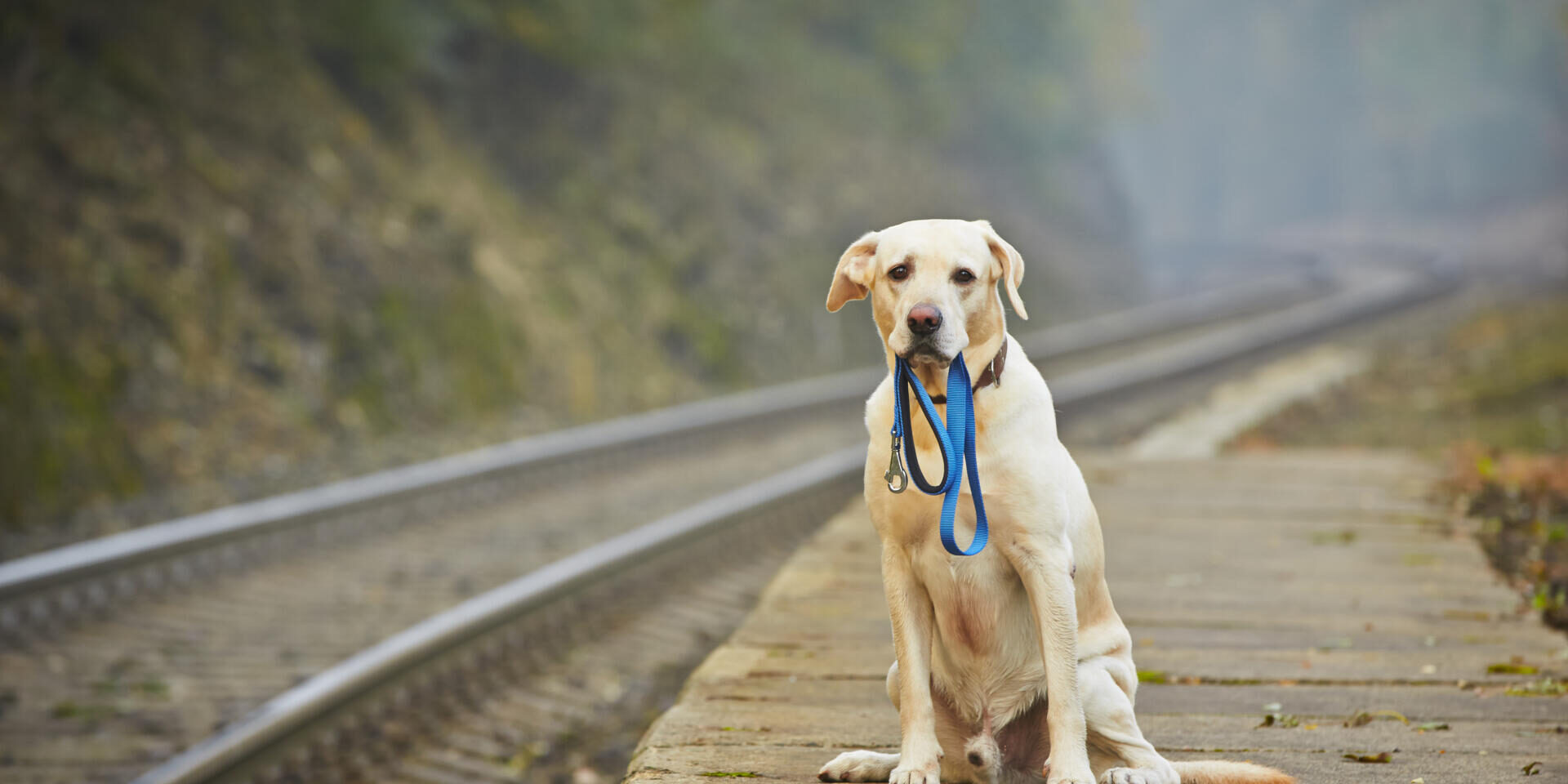 Jak długo Przedsiębiorcy z Branży Transportowej czekają na zapłatę?