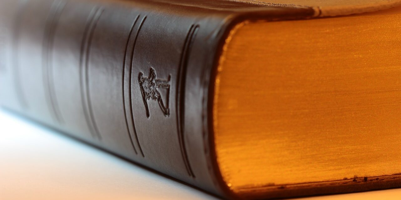 Split Payment Split Payment