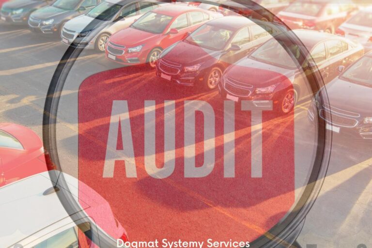 Audyt Branży Motoryzacyjnej ujawnia skalę problemu reeksportu